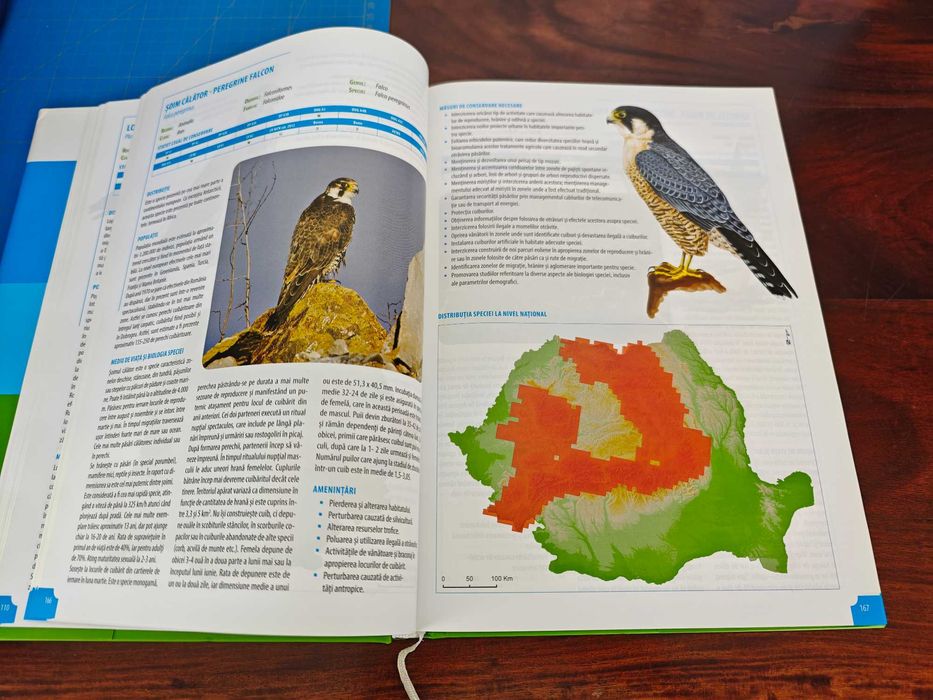 Atlas al speciilor de pasari de interes comunitar din Romania