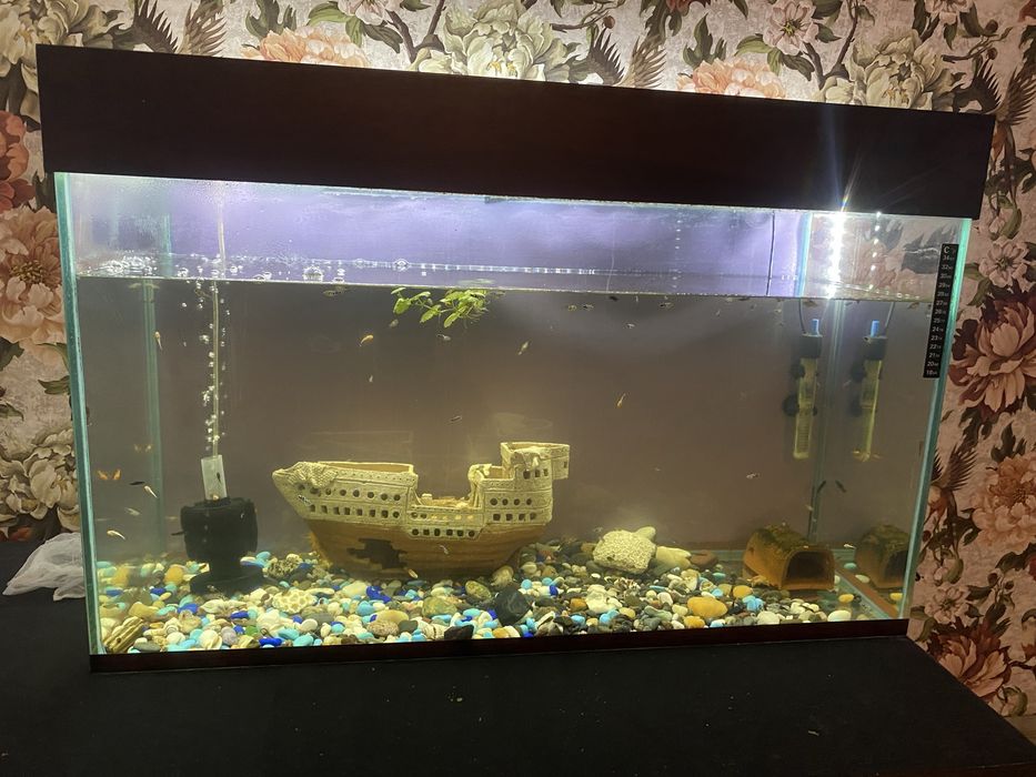 Продам аквариумы и рыбок .