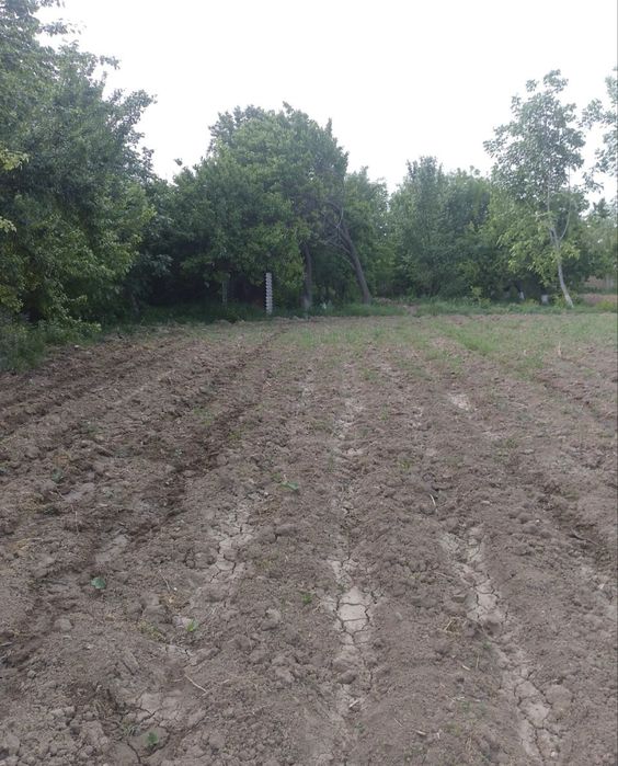 Земля Продаётся Ташкентский обл. Район Кибрай Маданият 24-Сотки