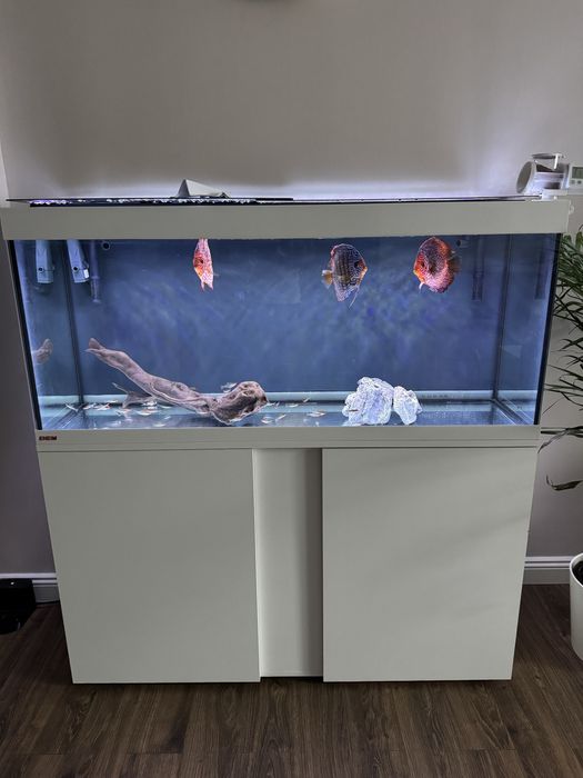 Acvariu Eheim 250 L + suport acavriu