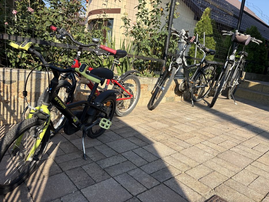 Biciclete de oras pentru familie