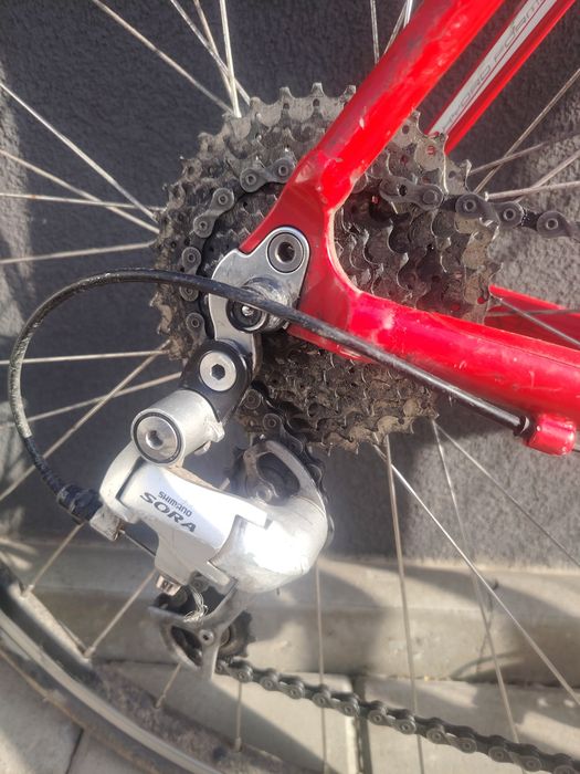 Cursiera Scott in stare excelenta