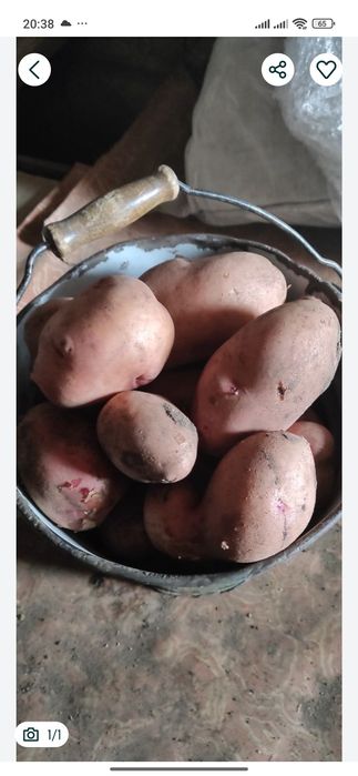 Продам картофель,домашний, вкусный.