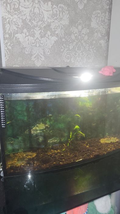 Продам аквариум 80л.