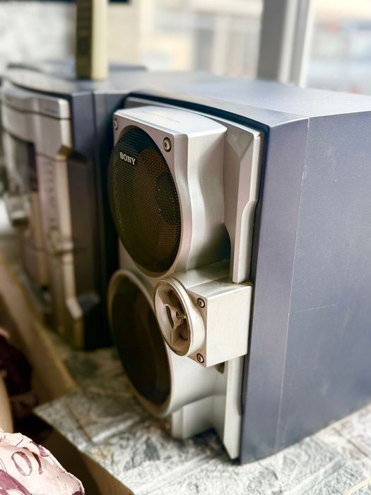 Уредба Сони rg310