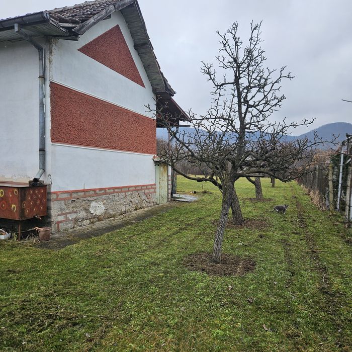 ВИЛЕН ИМОТ Врачански лозя,  м. Янкин връх