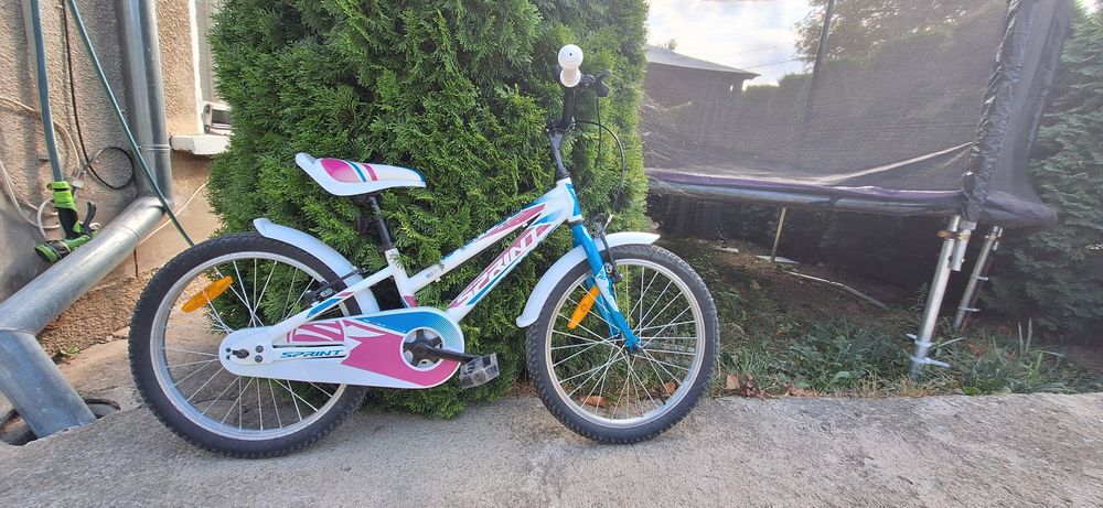 Sprint kiddy Calipso 20"