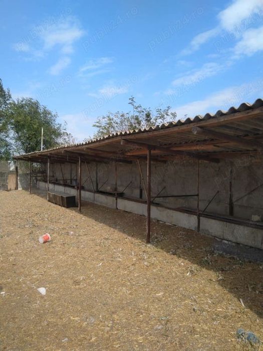 Vând FERMA cu teren 4 hectare Plopeni Constanta