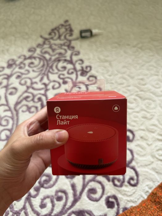 Алиса сатылады новый