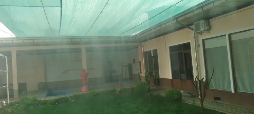 Посевной рулонный газон