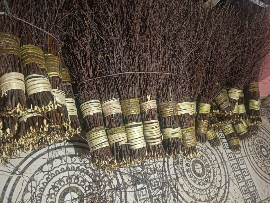 Vând maturoaie prețu an privat