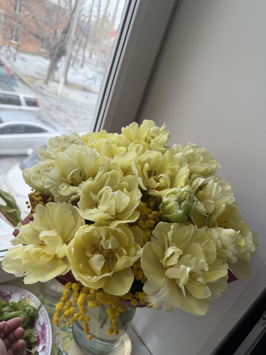 Продам Свежие цветы