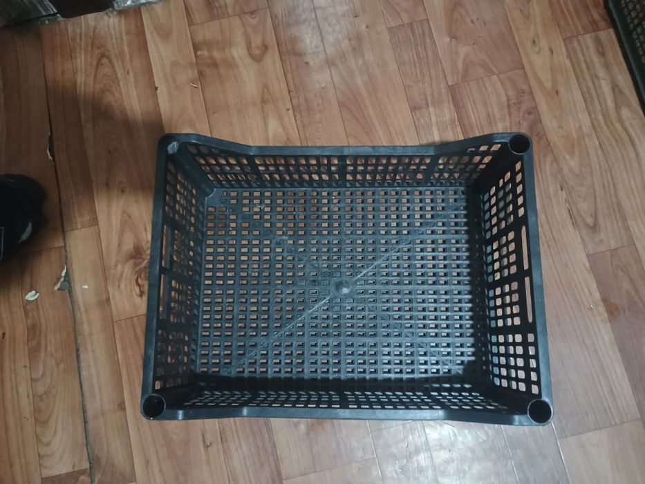 Продам облипиху.