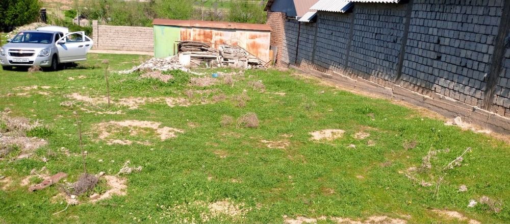 Dacha sotiladi Mayskida 6 sotix