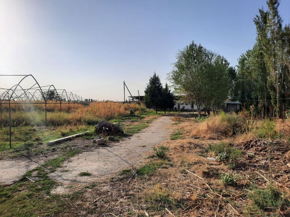 Yuqori chirchiq tumanida 200 sotok yer sotiladi