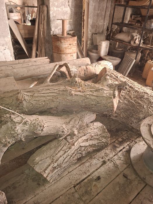 Lemn de nuc uscat rustic