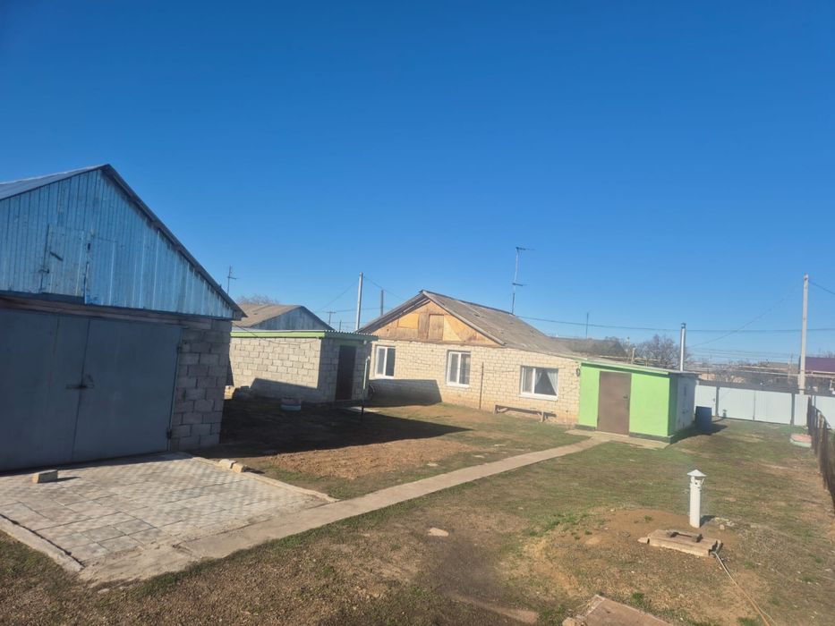 Уй сатылады, тиімді бағада
