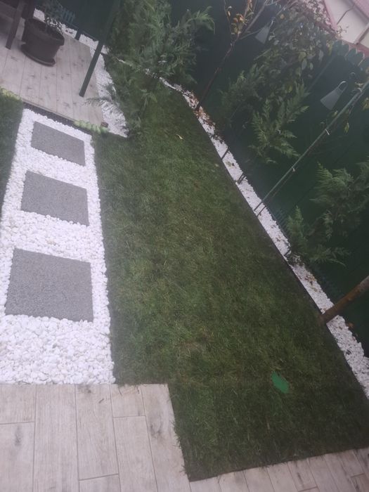 Servicii Profesionale pentru curtea Ta de Vis! 
Transformă-ț