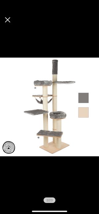 Natural Paradise Amaryllis ansamblu inalt pisici