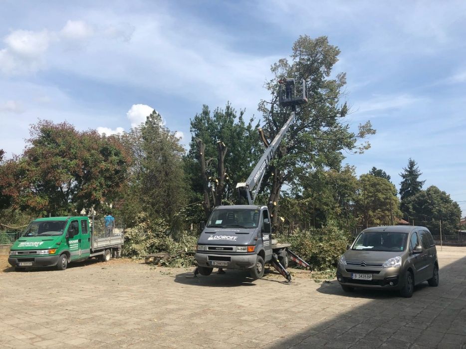 Рязане на дървета , Косене на трева, почистване на терени Варна