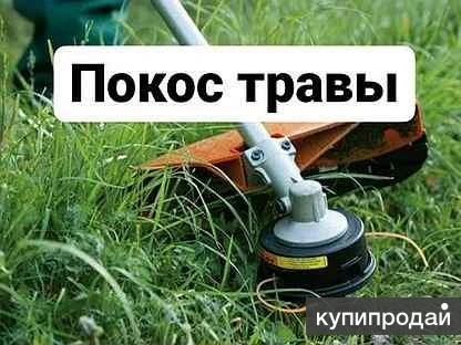 Покос Травы Треммером 24/7