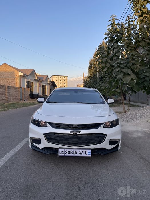 Malibu 2 2.4 Kraskasi tozza