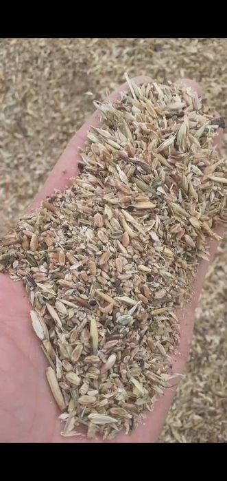 Отходы отруби горох чечевица