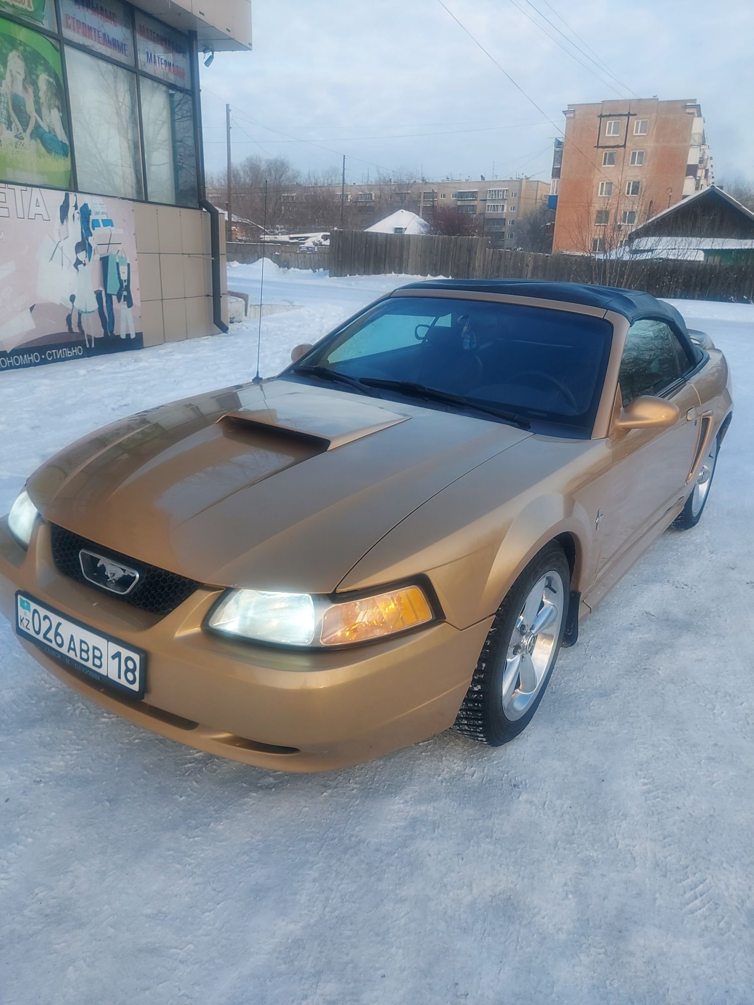 mustang - Легковые автомобили - OLX.kz