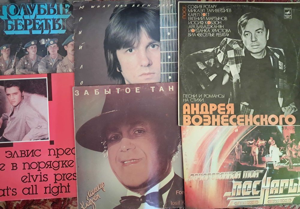 Виниловые пластинки