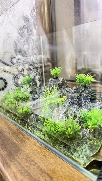 Продается акваруим