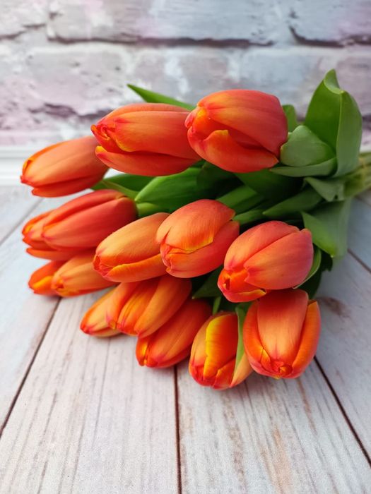 Оптом тюльпаны Беларусь