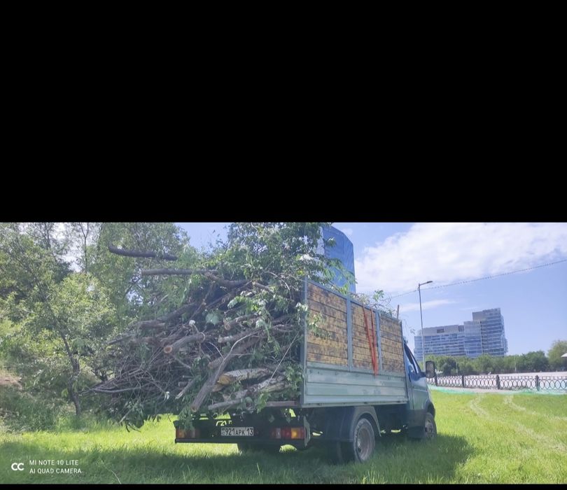 Вывоз мусора вывоз ветки