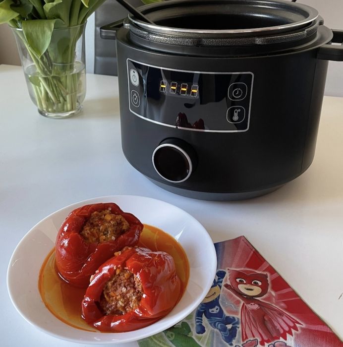 Oala sub presiune electrica