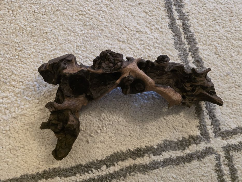 Decor acvariu , terrariu