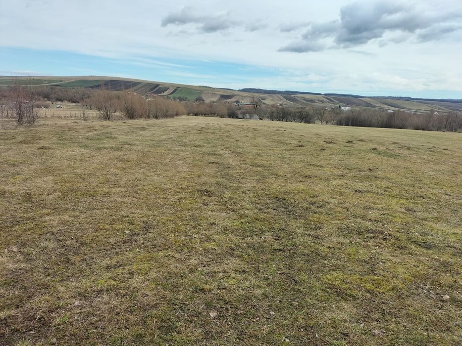 Teren de vânzare Oșlobeni