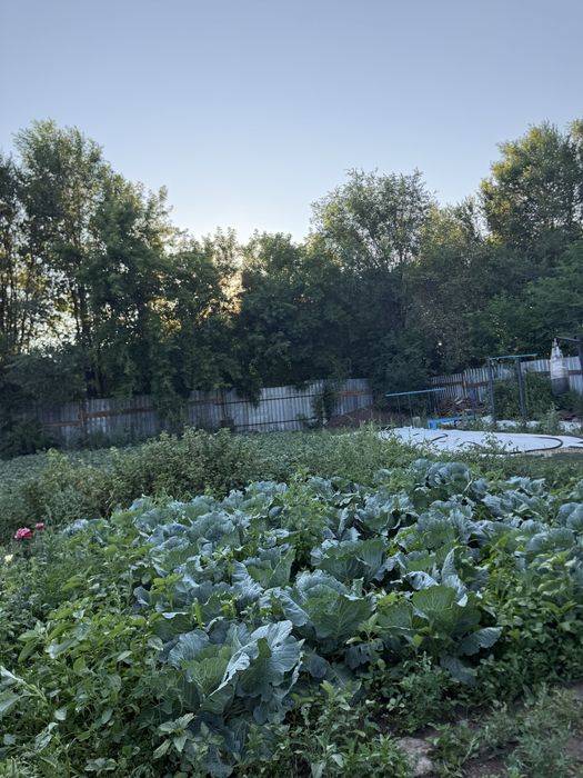 Продам Дачу в Сортировке дачный кооператив Ромашка!