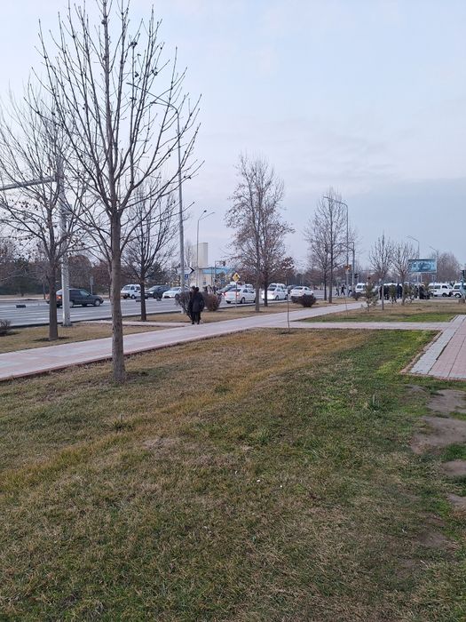 Arandaga beriladi pochtani oldi