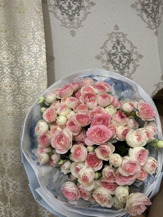 свежие кустовые розы