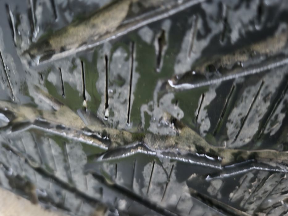 Jante aliaj Volkswagen touareg