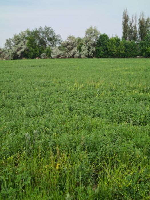 Земля! Продам 6,4 га земли.