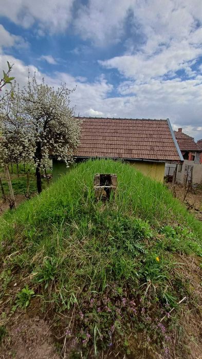 Pivniță cu cramă de vânzare