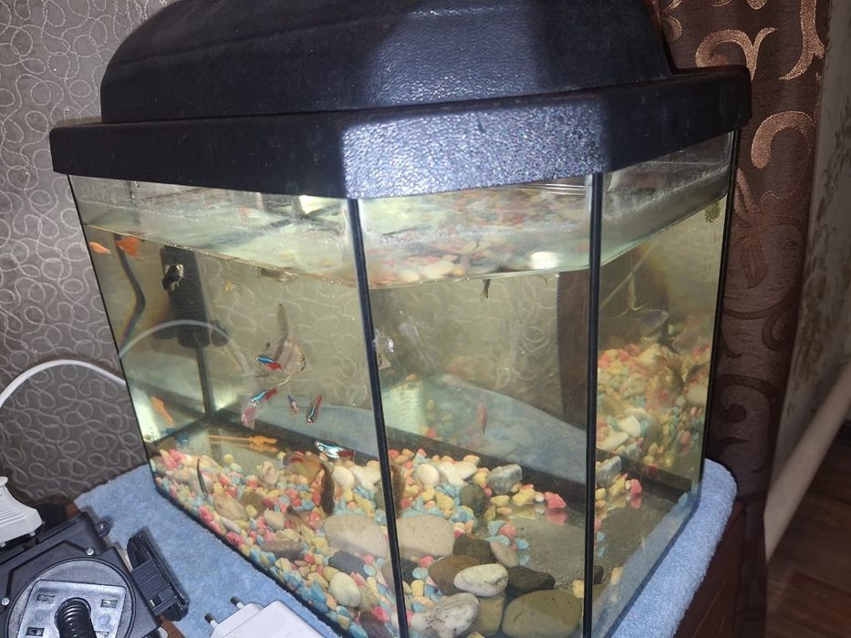 Продам аквариум 25литр