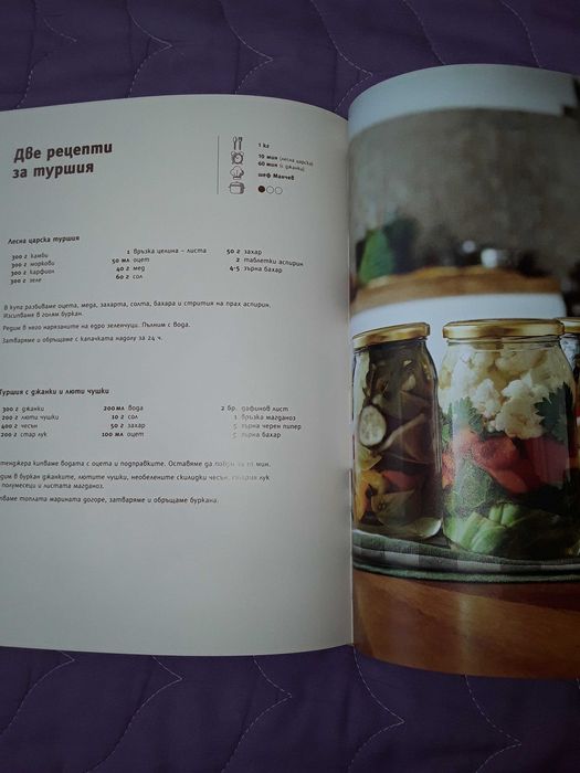 Книга на Манчев и Шишков