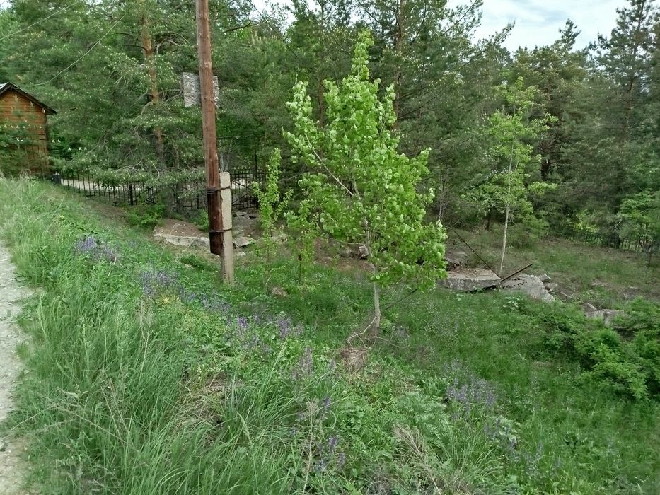 Участок в Голубом заливе. Бухтарма