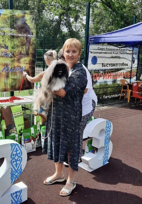 Продам щенка пекинеса