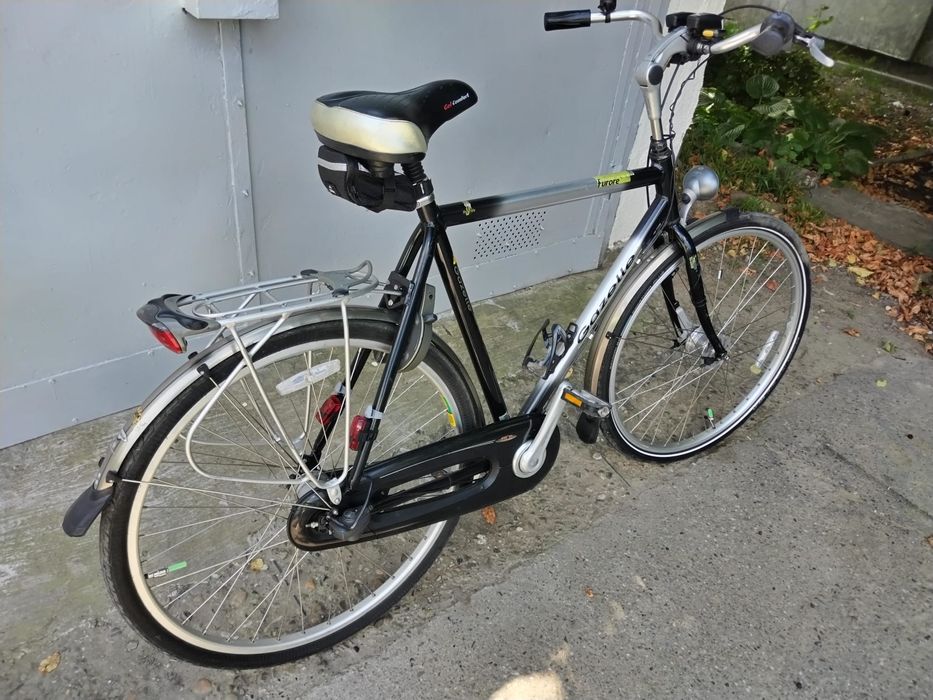 Bicicleta gazele adulți