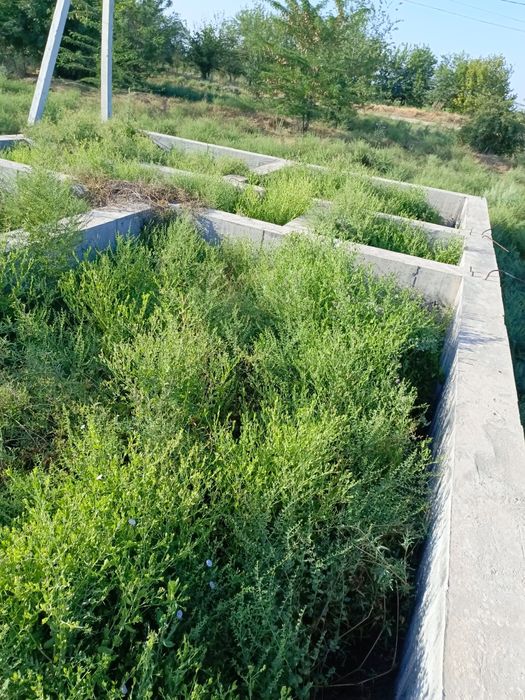 Участка сотилади каробчида 6сотихли фундаменти билан