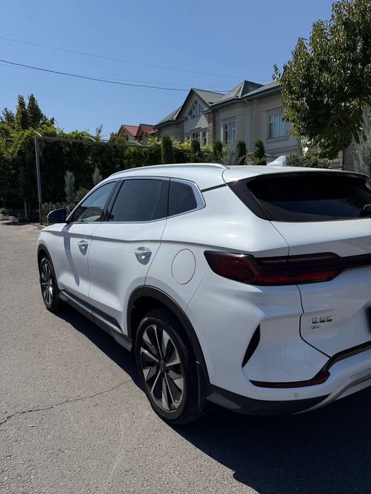BYD Champion 2024 ev
