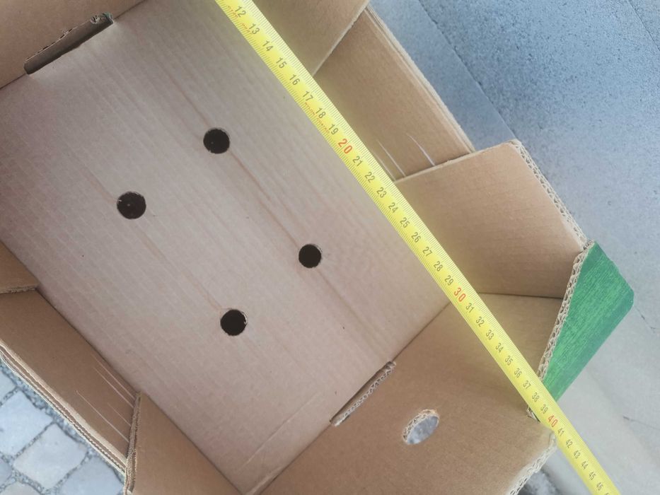 Lazi depozitare carton