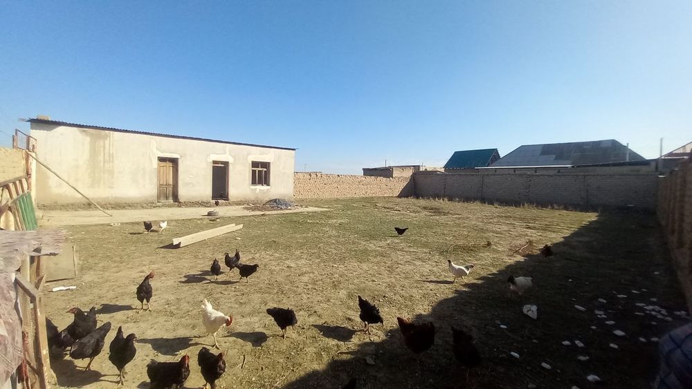 Qarshi shahridagi 6sotix yer sotiladi